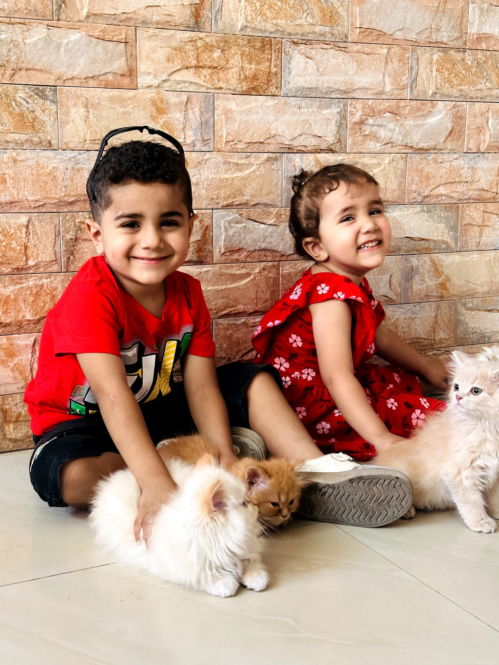 Hamoudi & his Kittens, written by Fatima J. Ali, illustrated by Rynah Jamil
