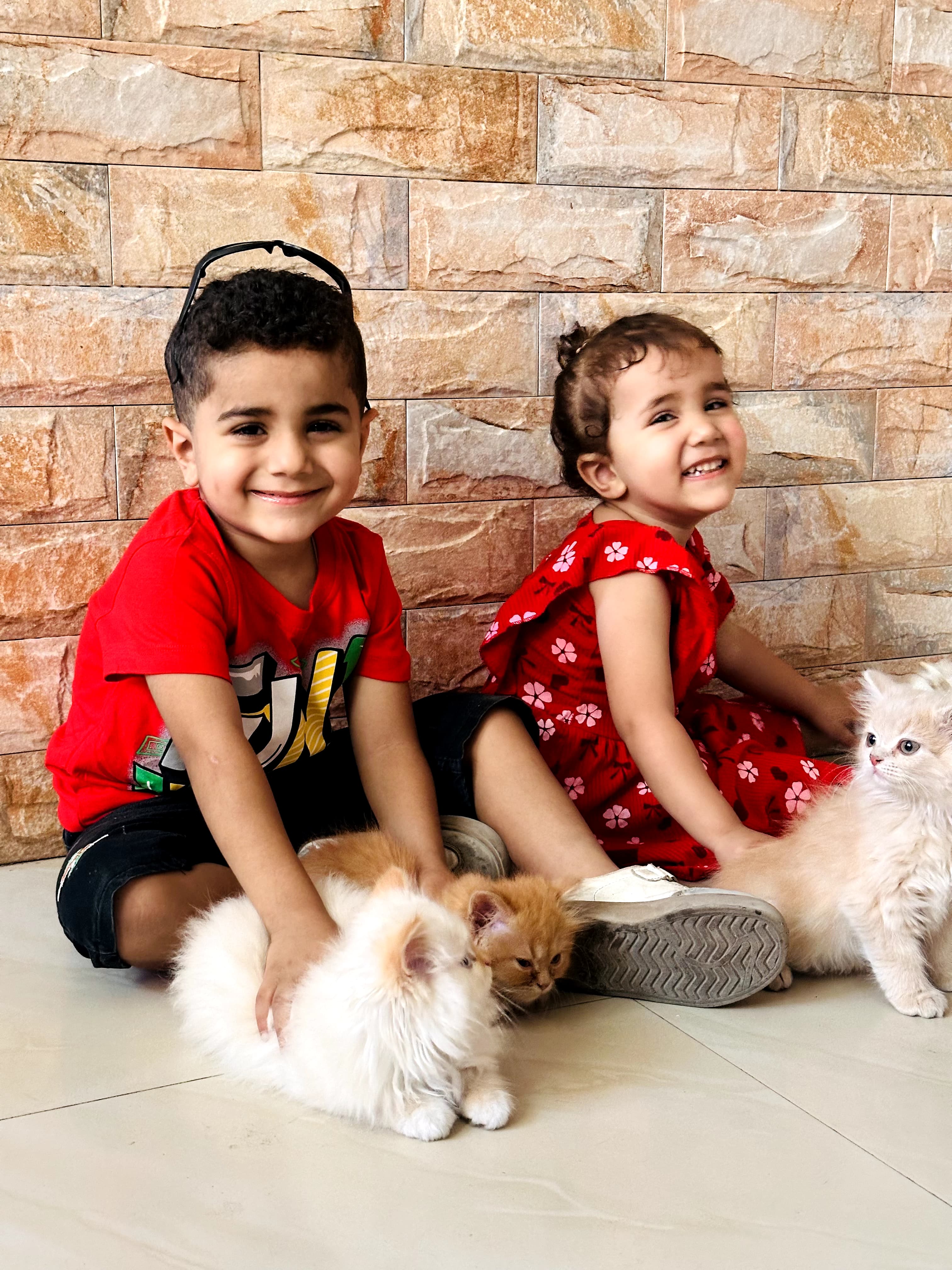 Hamoudi & his Kittens, written by Fatima J. Ali, illustrated by Rynah Jamil