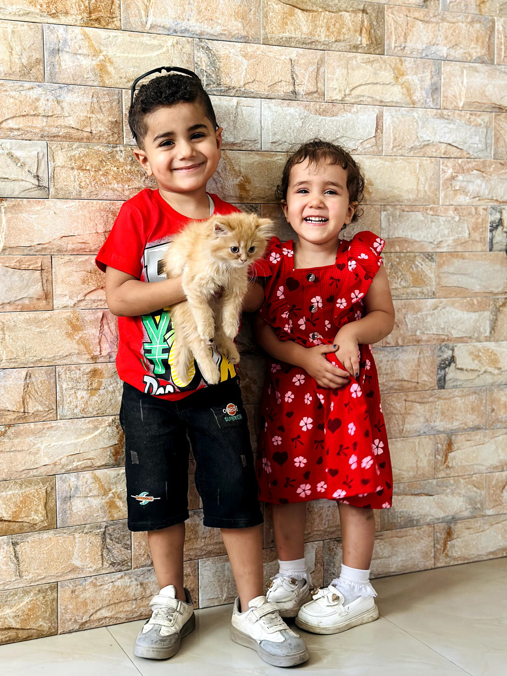 Hamoudi & his Kittens, written by Fatima J. Ali, illustrated by Rynah Jamil
