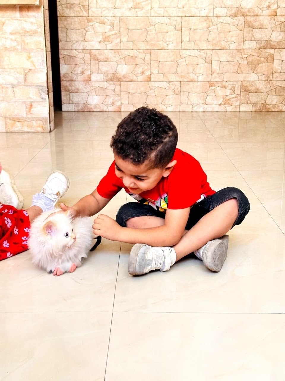 Hamoudi & his Kittens, written by Fatima J. Ali, illustrated by Rynah Jamil